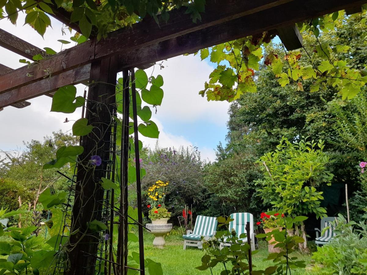 Marcilly-Ogny Aux Glycines B&B 외부 사진